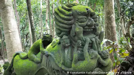 Picture of a dragon statue in the sacred monkey forest in Ubud, Bali, Indonesia. 